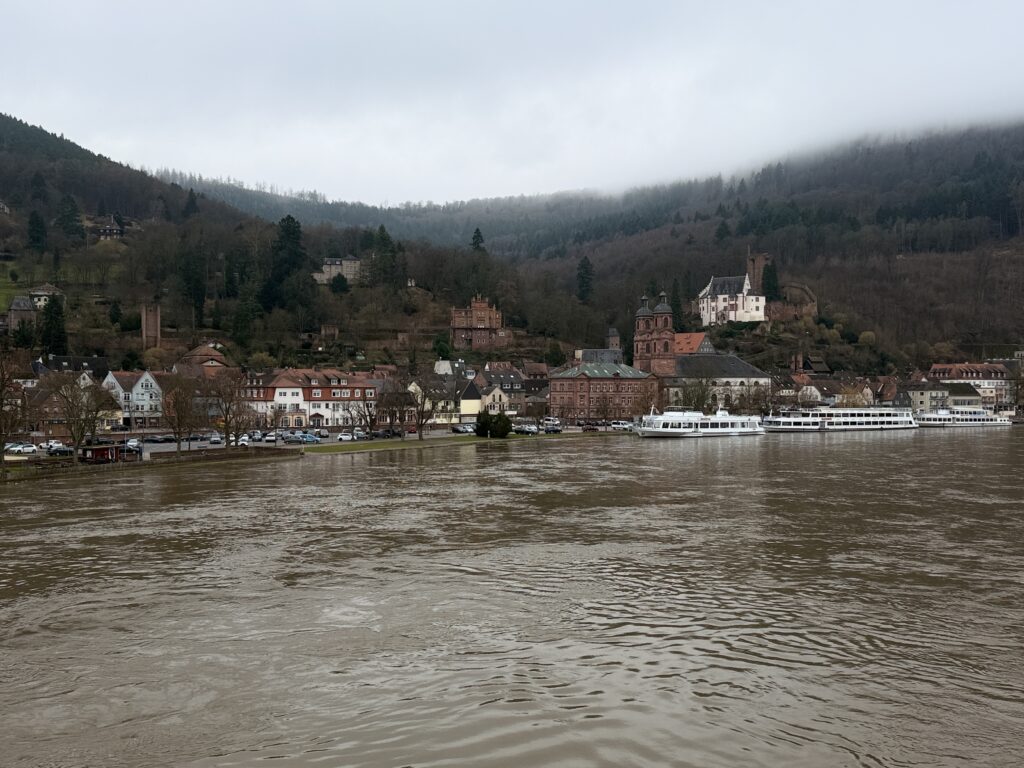 Miltenberg in Bayern mit Blick von der Brücke auf den Main